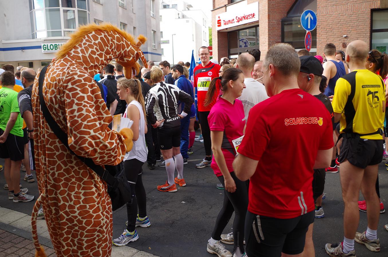 Kuechen Krampe Ueber uns Kreisstadtlauf 10